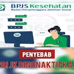 DUH KEPESERTAAN PBI JK DINONAKTIFKAN, Ternyata Ini Penyebabnya