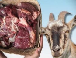 Tips Aman Makan Daging Kambing buat Penderita Hipertensi dari Spesialis Penyakit Dalam